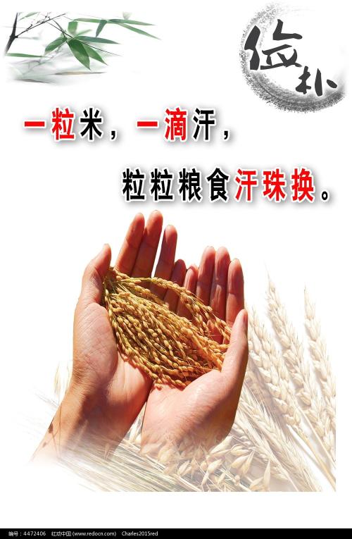 代办德国护照电子版
